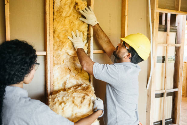 Best Blown-In Insulation  in Selma, AL